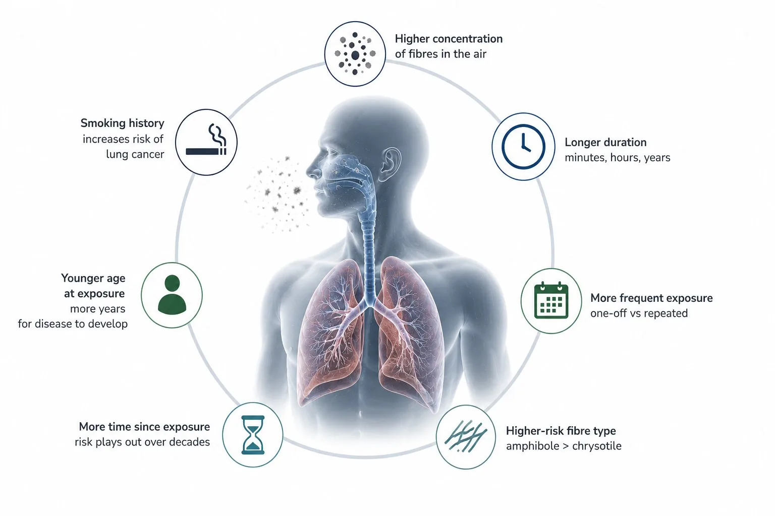 Factors affecting asbestos risk
